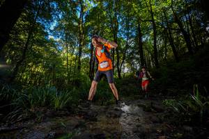 BIB: 
                            <button type="button" onclick="openModal(19239528)" class="btn btn-primary btn-sm float-right btn-popup" data-toggle="modal" data-target=".modal-high-quality">
                        <i class="fas fa-shopping-cart"></i> Add to Cart
                    </button>
                                            <button type="button" onclick="isThisMe(19239528, true)" class="btn btn-success btn-sm float-right btn-popup btn-isme hidden" data-toggle="tooltip" data-placement="bottom" title="นี่คือรูปของคุณใช่ไหม คลิกที่นี่เพื่อเอาเข้าอัลบั้ม">
                        <i class="fas fa-plus"></i> Add to album
                    </button>
                    <button type="button" onclick="isThisMe(19239528, false)" class="btn btn-warning btn-sm float-right btn-popup btn-isnotme hidden">
                        <i class="fas fa-ban"></i> Remove from album
                    </button>